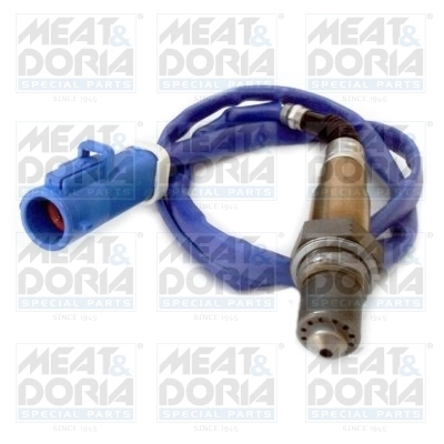 Oxygen Sensor